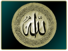 ہفتہ وار اجتماع 3 مئی 2015ء