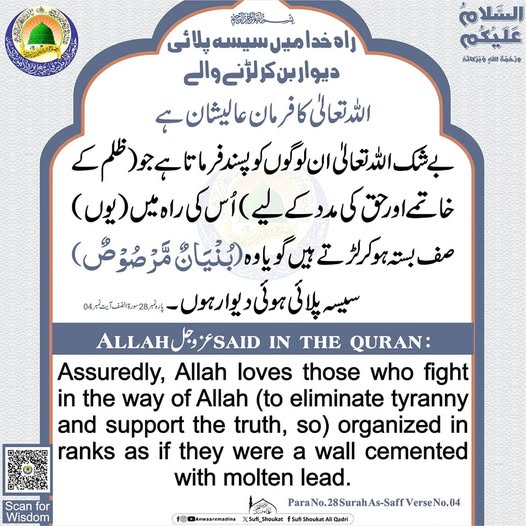 سیسه پلائی دیوار بن کر لڑنے والے