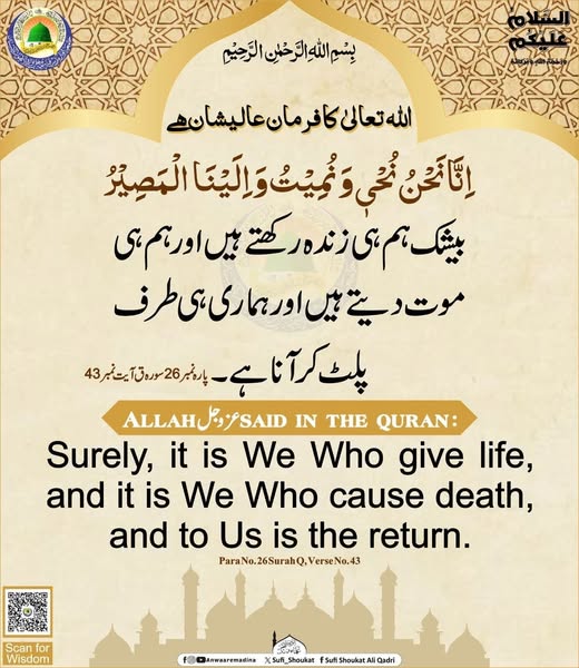 پلٹ کر آنا ہے