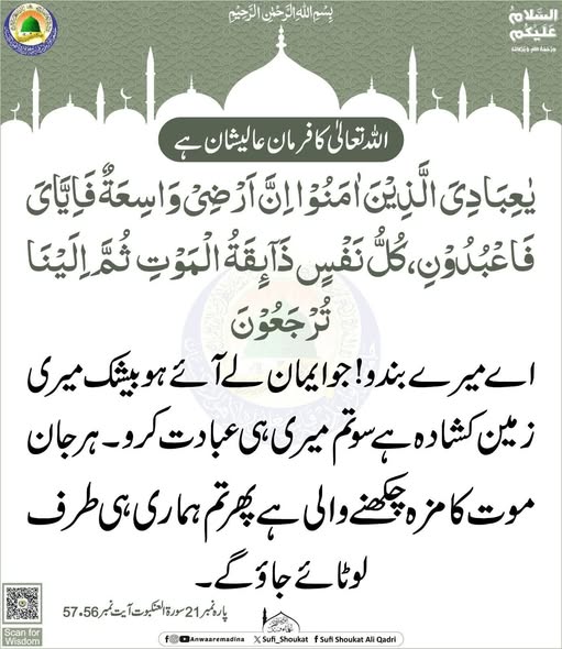 سب کو رب کی طرف لوٹنا