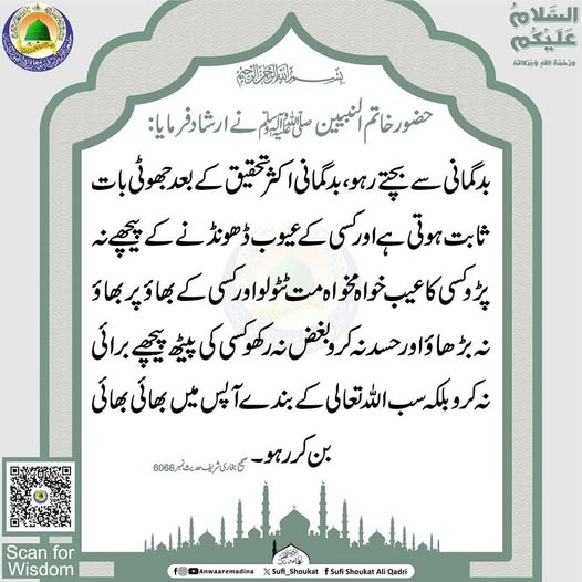 بھائی بھائی بن کر رہو