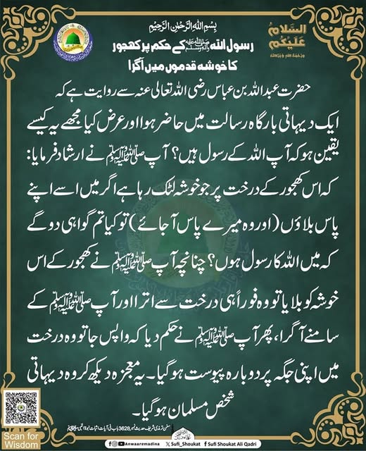 کھجور کا خوشه 