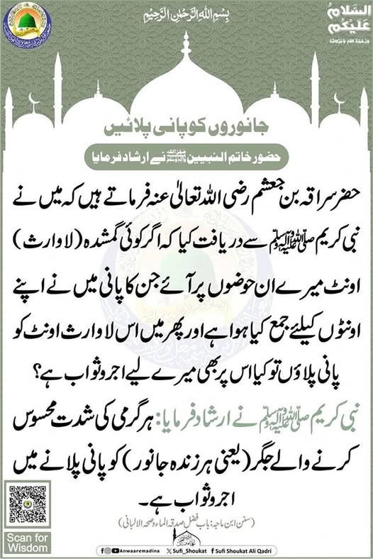 جانوروں کوپانی پلائیں