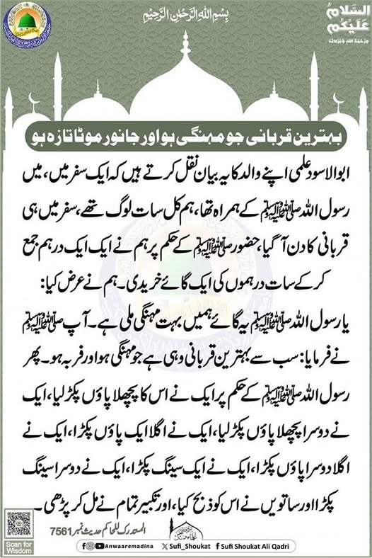 مہنگی ہو اور جانور موٹا تازہ ہو