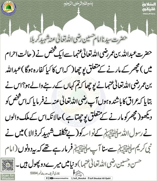 امام حسین شہید کر بلا