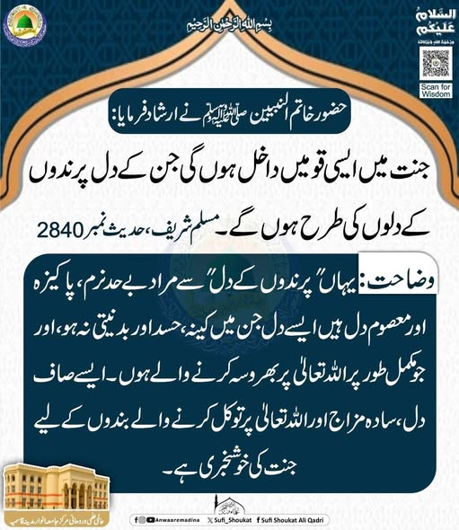  دل پرندوں کے دلوں کی طرح