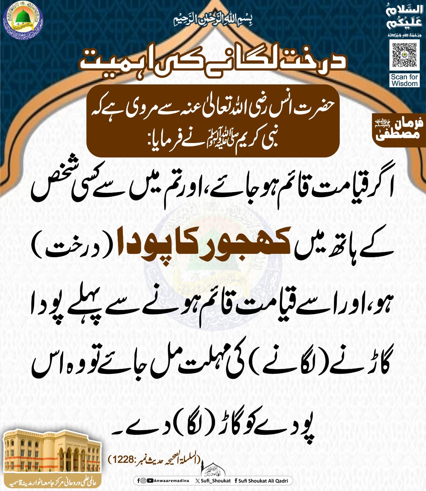 درخت لگانے کی اہمیت