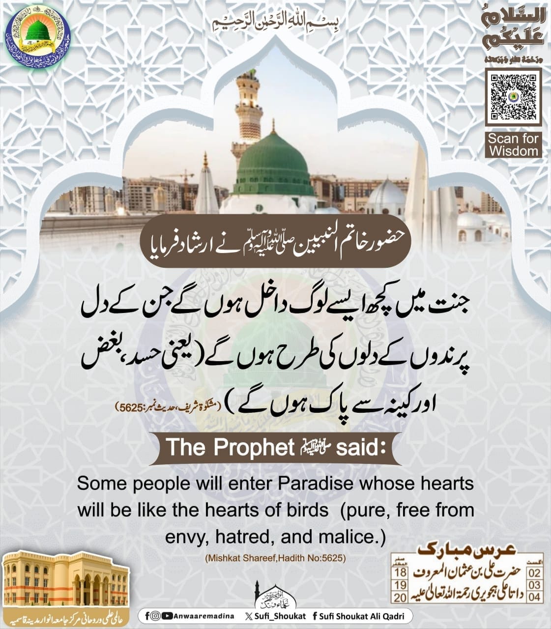پرندوں کی طرح دل 