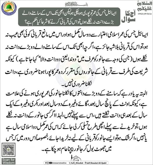 قربانی کرنے کا حکم 