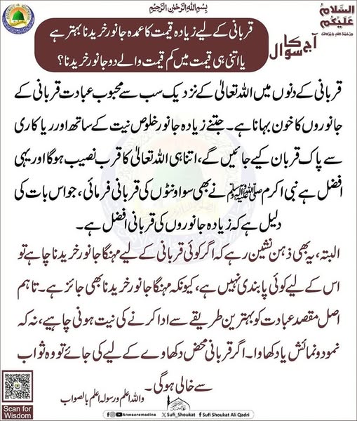 عمدہ جانور خریدنا