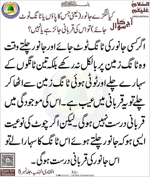 لنگڑے جانور کی قربانی 