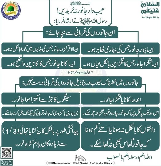 عیب دار جانور نہ خریدیں