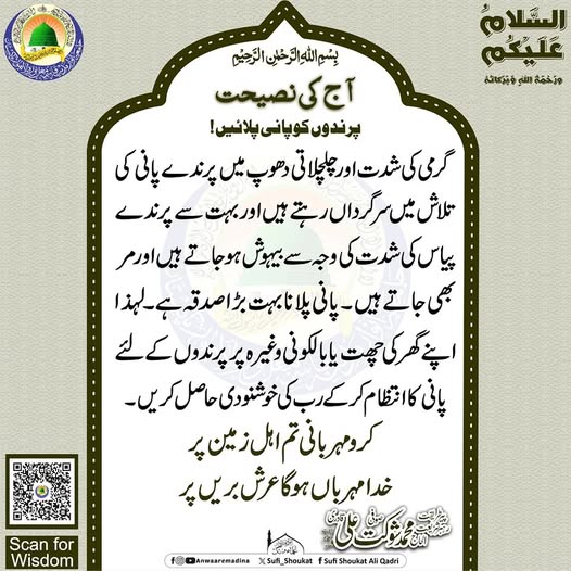 پرندوں کو پانی پلائیں