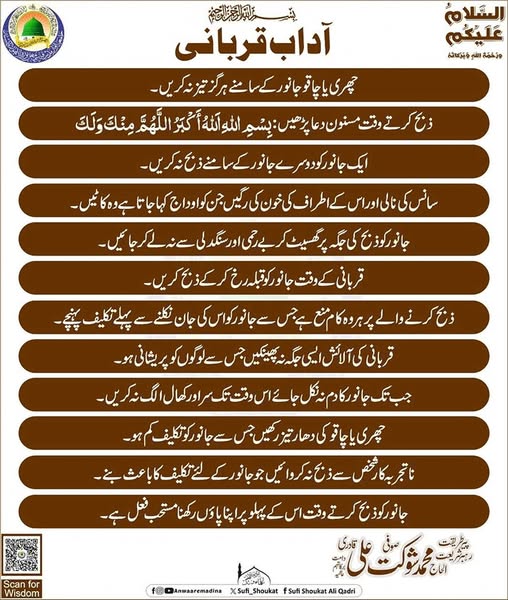 آداب قربانی
